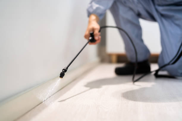Bed Bug Pre-Treatment Preparation Assessment in Fanning Springs