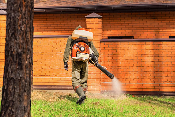 Bed Bug Clearance Verification and Documentation in Fanning Springs